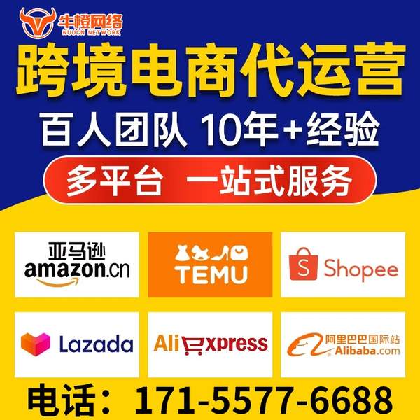 十堰电商代运营