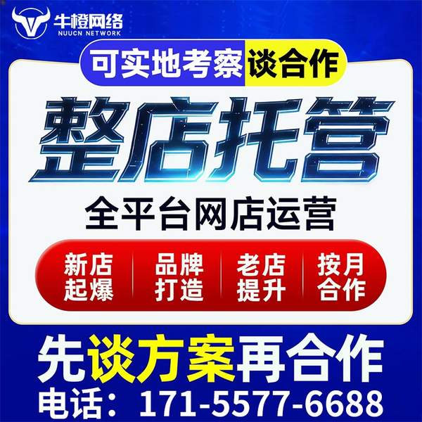 十堰电商代运营
