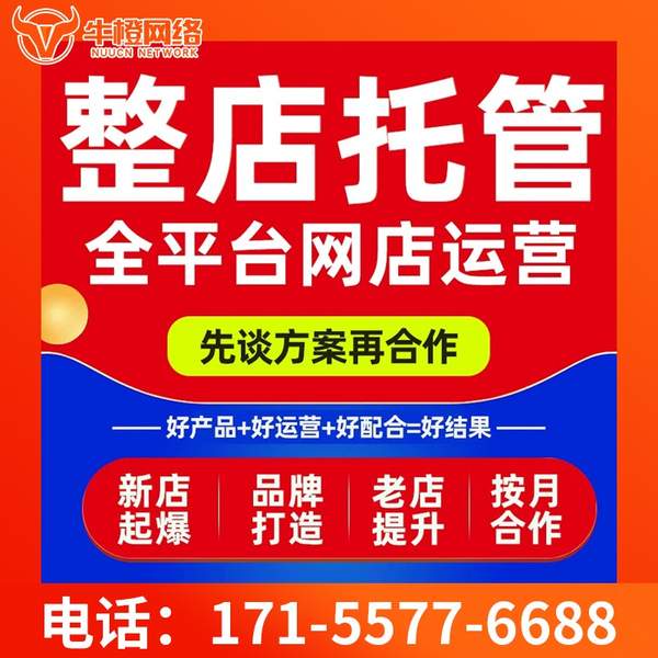 十堰电商代运营