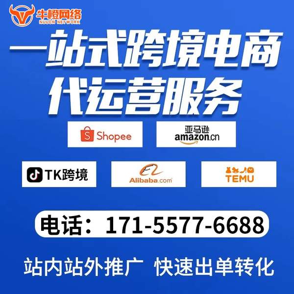 十堰电商代运营