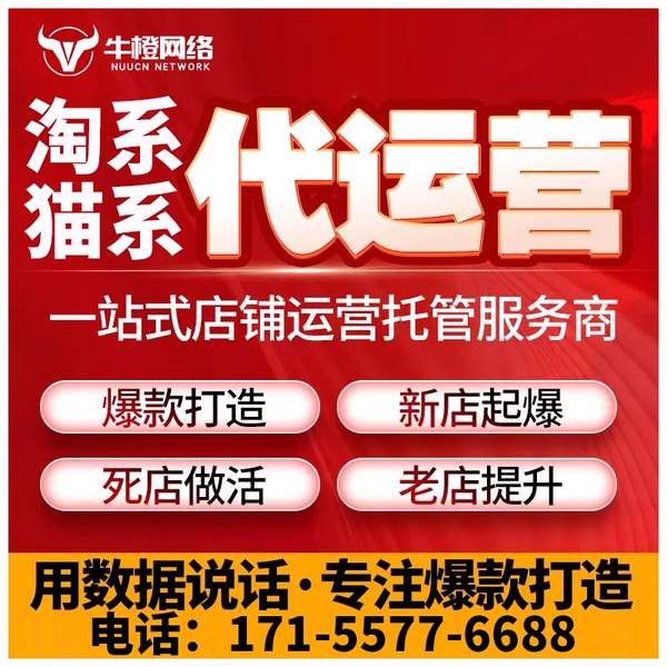 十堰电商代运营